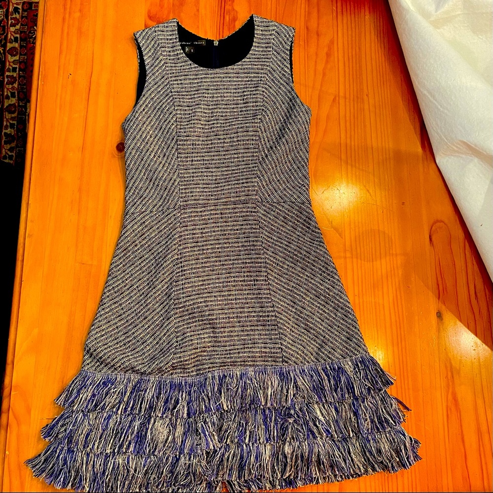 theyskens’ theory Fringe Dress